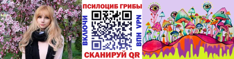 наркота Октябрьск Псилоцибиновые грибы ЛСД